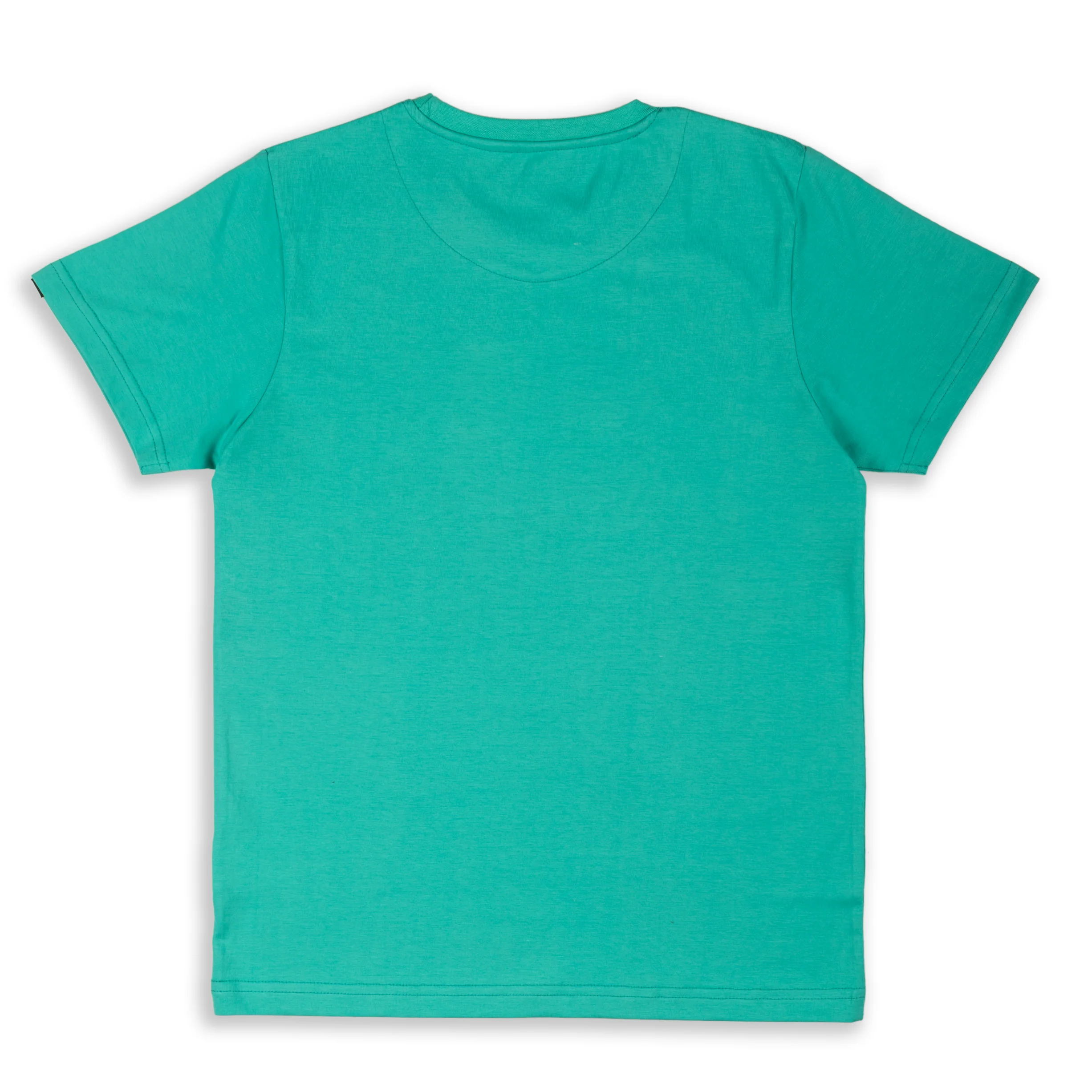 Crew Persian Green Printed Boys T-Shirt 8-14 Yrs - Image 3