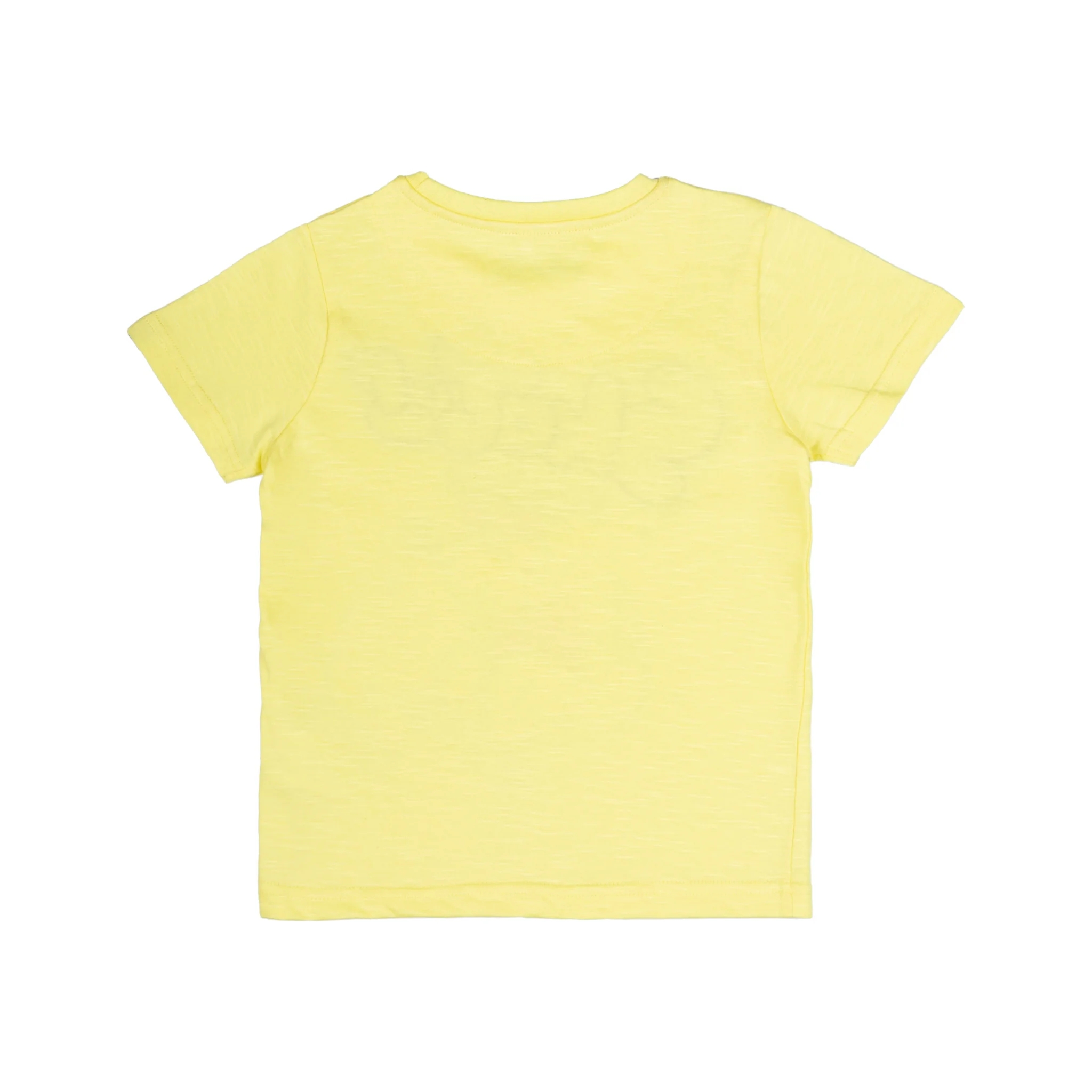 Skatersaurus Mellow Yellow Printed Boys T-Shirt 2-8 Yrs - Image 3