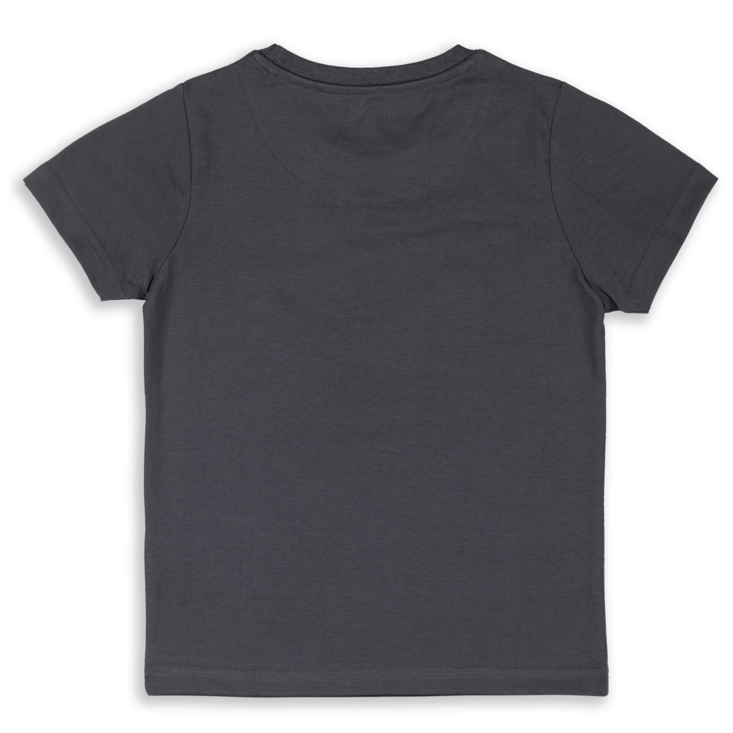 Skatersaurus Turbulence Gray Printed Boys T-Shirt 2-8 Yrs - Image 3